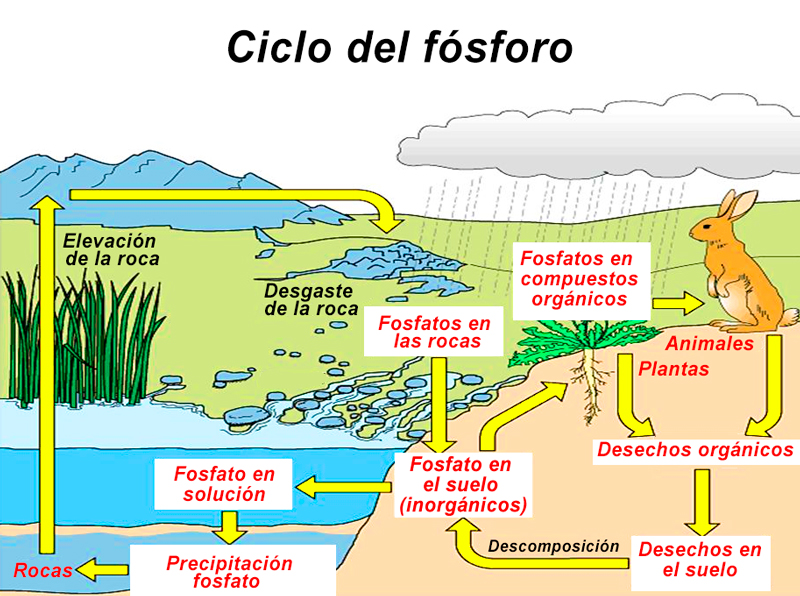 Imagen relacionada