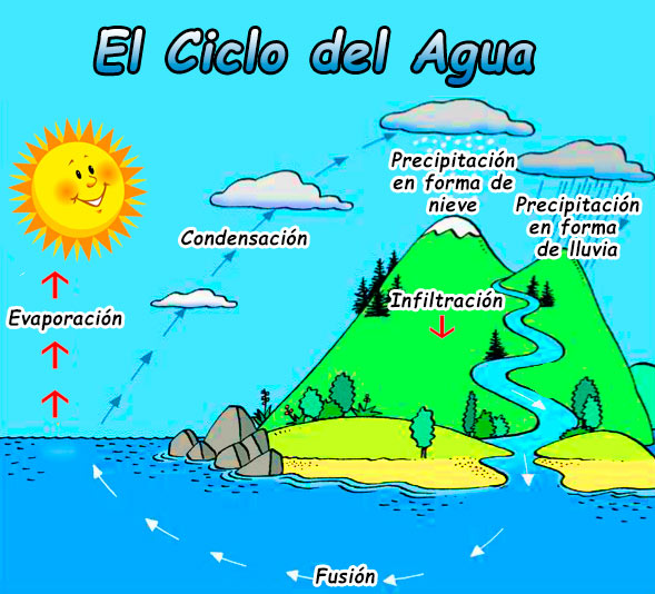 Resultado de imagen de ciclo del agua