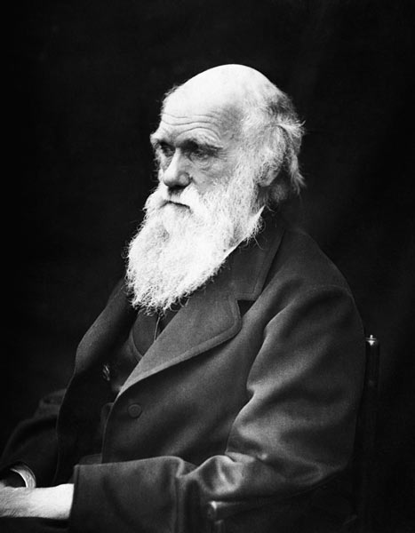 teoría evolución darwin foto teoría evolución darwin foto