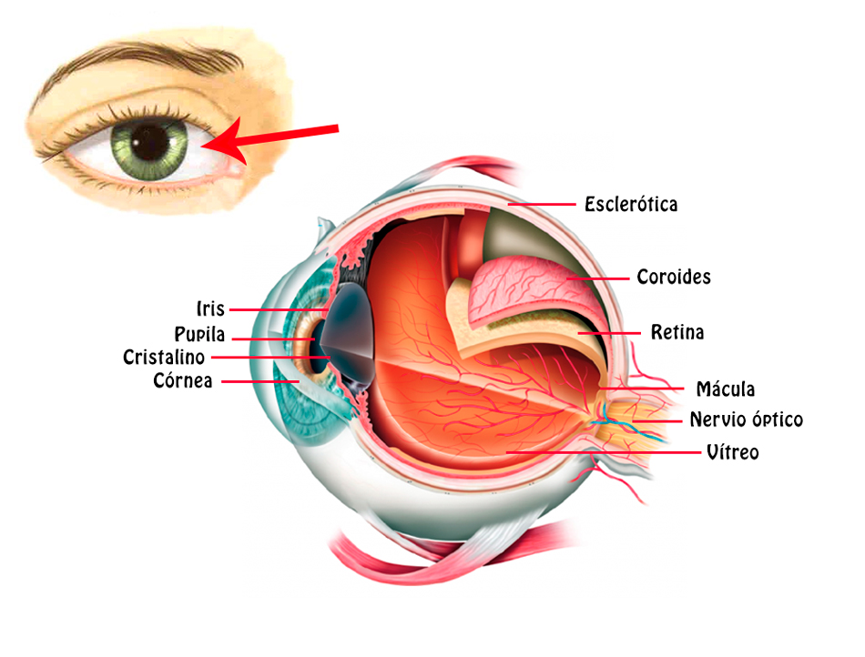 Como sacarte algo del ojo